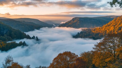 Wall Mural - breathtaking view of a valley shrouded in mist. the sun rises over distant hills, casting warm golde
