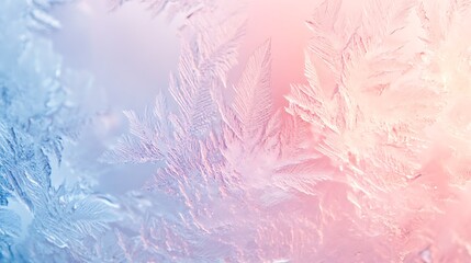 Naklejka na meble Pink Rose flowers with blurred sofe pastel color background for love wedding and valentines day.