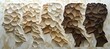 © MKS - An image symbolizing diversity and unity among people, comprising a collage of paper cutouts in various shades and shapes, each representing the profile head or silhouette face from different