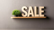 © rada - Stylish shelf displaying the word SALE with a small green plant for a modern touch.