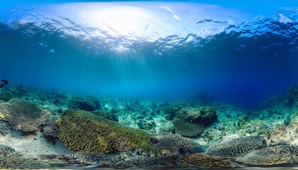 underwater photo blue background panorama ocean surface and bottom of the sea