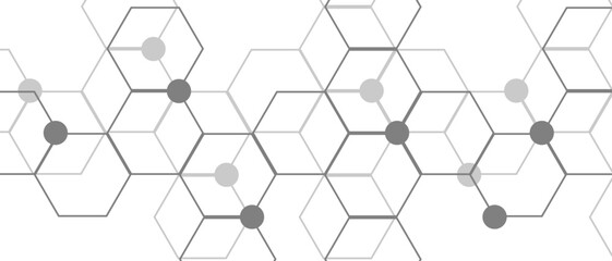 Poster - Hexagon geometric on a white background. Geometric abstract background with simple Hexagon elements. Schematic diagram of carbon nanotubes. Molecular structure tech. 