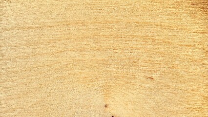 Fototapete - smooth light plywood texture background for branding, web design, print templates, product packaging, and natural minimalist graphic resources

