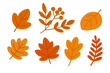 © exxxistence - Bright and simple autumn leaves in warm colors. Flat cartoon foliage for seasonal design.