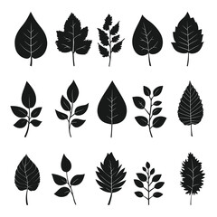Wall Mural - assorted black leaf silhouettes showcase nature's diverse forms in minimalist monochrome design.