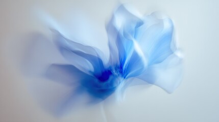 Wall Mural -   A clear picture of a blue flower on a white wall with a blue centerpiece centering the image