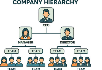 Company hierarchy. Vector illustration of org chart, leadership roles, and team structure, for presentations, HR documents, and startup kits
