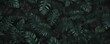 © Nawata - Intricate dark green and black tropical leaf pattern, abstract design , design, deep green, lush