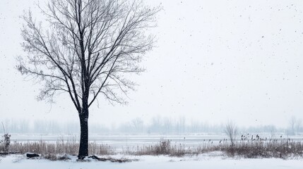 Poster - A solitary tree stands out in a snowy landscape, surrounded by gently falling snowflakes and a serene, expansive white background, creating a peaceful winter feel