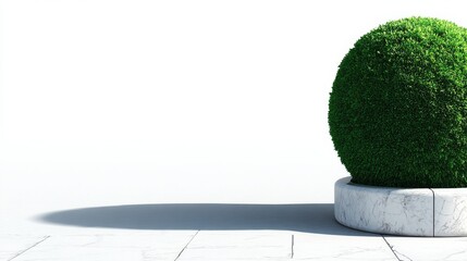 Aufkleber - Round bush with thick green leaves sits against a white backdrop, casting a soft shadow, offering ample copy space for design and marketing applications
