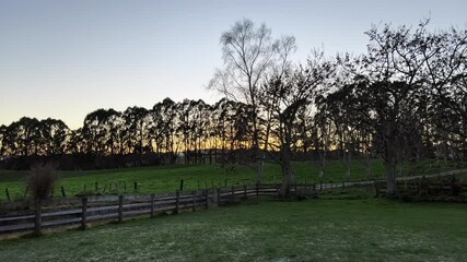 Wall Mural - Scenic Sunset Farm Road and Fields Landscape with Wooden Fences