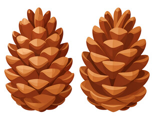detailed illustration of two brown pine cones isolated on white background