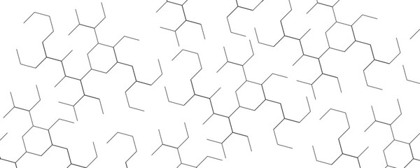 Canvas Print - digital geometric abstraction with lines molecular grey structure abstract tech background. abstract