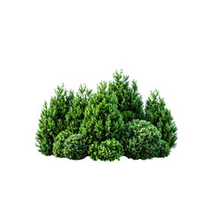 isolated green shrubs and trees for landscaping design and garden decoration element on transparent 