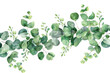 © Rawpixel.com - PNG Eucalyptus floral small wreath herbal plant herbs.