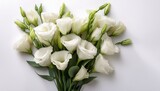 bouquet of white eustomas on a white background