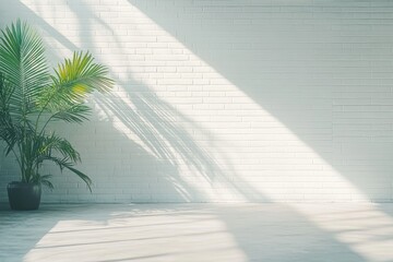 Aufkleber - Interior scene of potted palm tree against white brick wall with sunlight and shadows in minimalist style