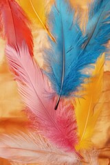 Aufkleber - Colorful Feathers Laying Flat on Textured Background Macro Close Up Abstract Still Life Composition