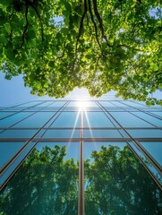 Poster - Modern architecture reflecting nature with green foliage and bright sunlight on a clear day