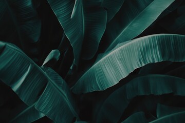 Poster - Lush Tropical Foliage in Deep Teal Tones, Botanical Beauty and Natural Serenity, Exotic Plant Life