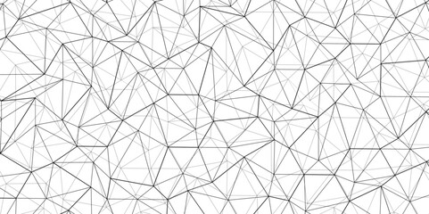 Wall Mural - Abstract of simple gray line triangle pattern geometric background .white background creative and geometric shape with white luxury pattern .Gray and white geometric background with low poly triangle