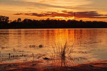 Wall Mural - summer sunset over the river. summer or autumn landscape.
