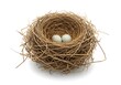 © Jismullah - Birds nest with two eggs a close up view