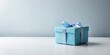 © VisualVault - A single light blue gift box with a pale ribbon bow sits on a white surface against a pale blue background