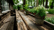 © Alleuy - Wooden table with potted plants outdoors in natural sunlight