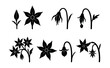 © Fortune228 - Tomato flowering stages icons set – bud, bloom, withering, growth, lifecycle. Vector icons set