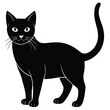 © Morichikahin  - black cat vector illustration