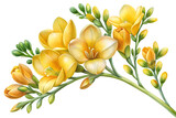 high resolution yellow freesia branch with multiple buds