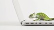 © Berkah - Chameleon on a Laptop: Adapting to the Digital World in Monochrome