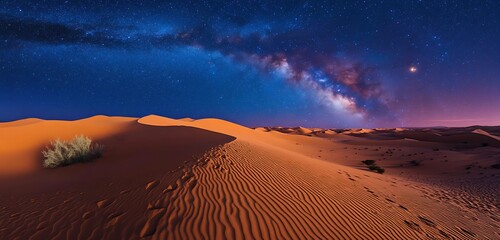 Wall Mural - sand dunes in the sahara desert