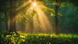 © artiq - Serene forest landscape with golden sunlight streaming through trees and lush greenery