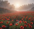 © Supagorn - Soft morning light filters through mist, illuminating a sea of red poppies ,  macro,  outdoor