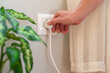 © Nanci - Close-up of hand inserting white electrical plug into wall socket next to houseplant, highlighting everyday electricity usage in domestic setting