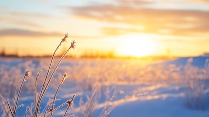 Aufkleber - Frozen grass stalks illuminated by a vibrant winter sunset, showcasing delicate frost crystals and a serene snowy landscape. : Generative AI