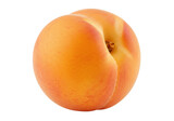 A sunkissed apricots golden glow