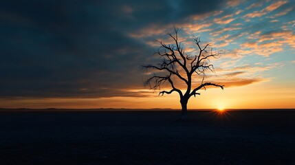 Aufkleber - Silhouette of a dead tree stands alone in a vast, dark landscape at sunset, the vibrant orange and blue sky contrasting with the barren earth. : Generative AI