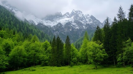Poster - Majestic snow-capped mountains rise above a lush green valley, where vibrant deciduous and evergreen trees create a tranquil forest scene. : Generative AI
