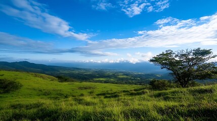 Poster - Serene vista of a vast green pasture, rolling hills, and a lone tree under a vibrant blue sky dotted with fluffy white clouds. A picturesque landscape photo ideal for travel, nature, a : Generative AI