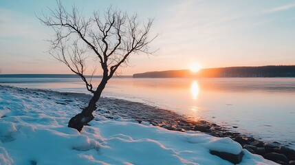 Aufkleber - Solitary winter tree silhouetted against a vibrant sunset over a calm, snow-covered riverbank, reflecting the golden hour light. : Generative AI