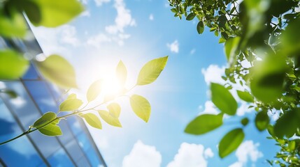 Aufkleber - Sunlight illuminates vibrant green leaves against a backdrop of a clear blue sky and a modern glass building, symbolizing nature and urban harmony. : Generative AI