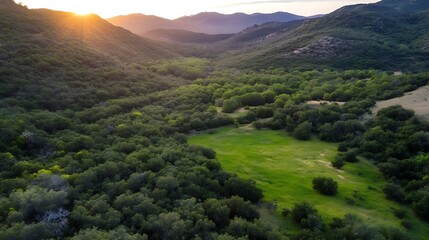 Poster - Aerial view of a lush green valley nestled between sunlit mountains at sunset, showcasing vibrant foliage and a tranquil meadow. : Generative AI