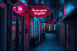 © Vovmar - A neon sign on the street asks Do you speak English