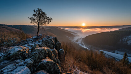 Poster - Solitary pine tree atop a snow-dusted cliff overlooking a valley shrouded in morning mist, bathed in the golden light of sunrise.