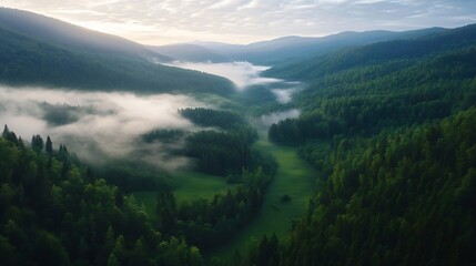 Poster - Misty sunrise over a lush green valley nestled between majestic mountains, showcasing a serene landscape with fog-covered forests and sunlit peaks. : Generative AI