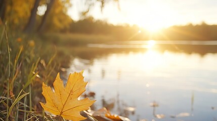Poster - Single autumn maple leaf near calm lake at sunset, blurred background, warm golden light, peaceful nature scene. : Generative AI