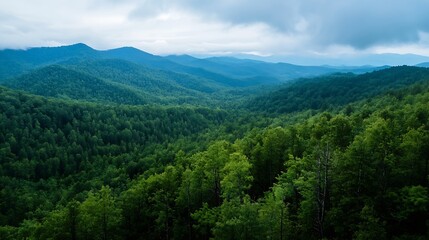 Aufkleber - A panoramic view of lush green mountains under a cloudy sky, showcasing layers of dense forest and rolling hills, creating a serene and tranquil atmosphere. : Generative AI